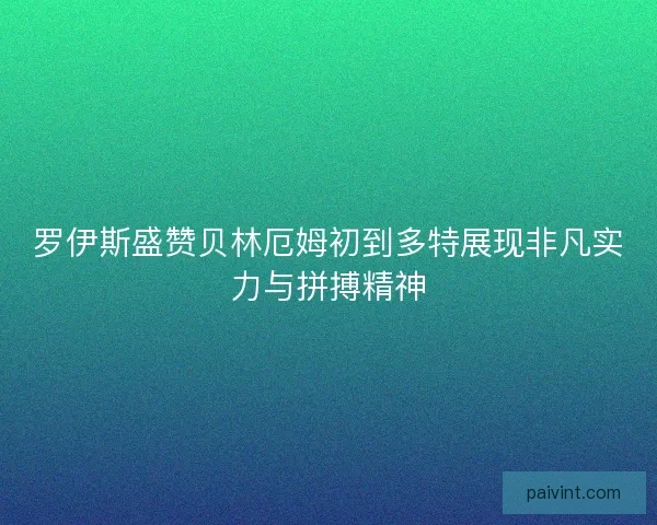 罗伊斯盛赞贝林厄姆初到多特展现非凡实力与拼搏精神