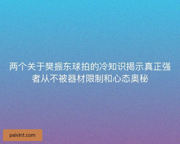 两个关于樊振东球拍的冷知识揭示真正强者从不被器材限制和心态奥秘